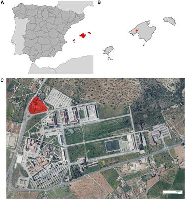 Evidence of Wing Shape Sexual Dimorphism in Aedes (Stegomyia) albopictus in Mallorca, Spain